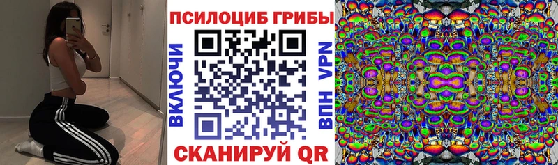 Псилоцибиновые грибы Psilocybe  Купить где  Новый Уренгой 